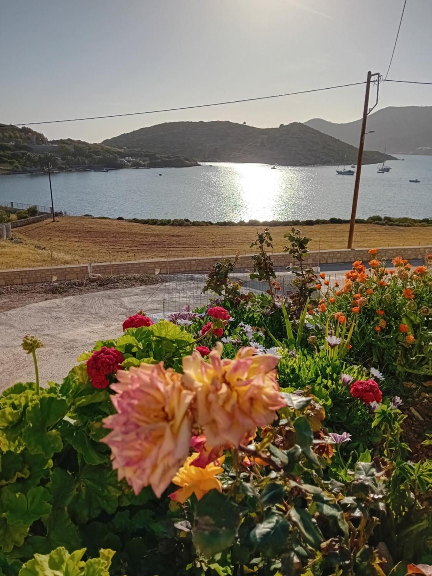 Aggeliki'S Apartments ลิปเซ ภายนอก รูปภาพ